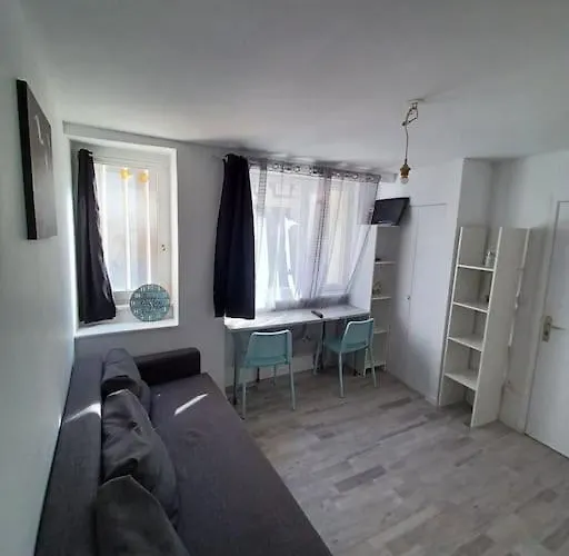 公寓 Palais De Justice 克莱蒙费朗